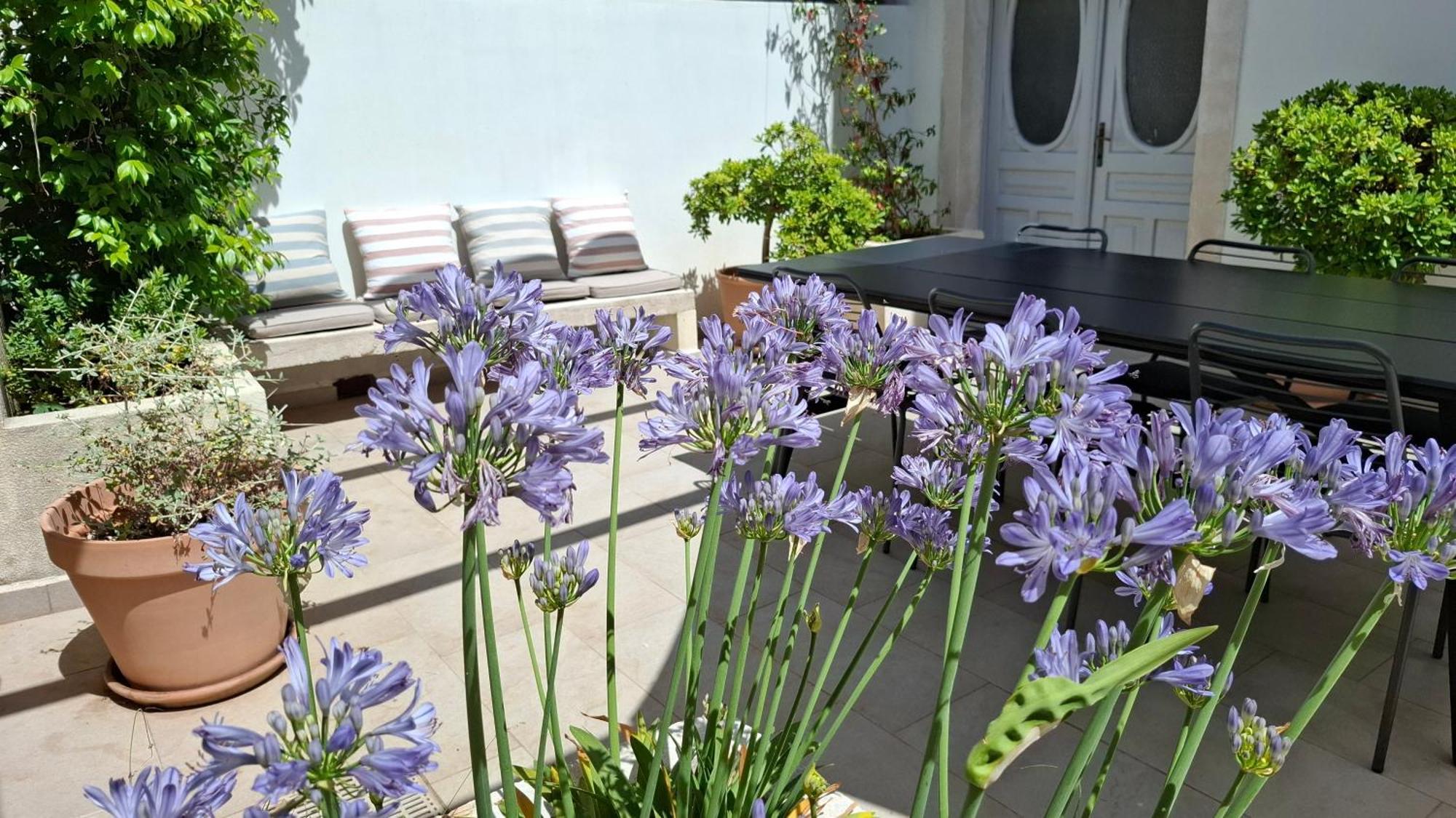Villa Mira With A Heated Pool And A Sea View Božava Kültér fotó